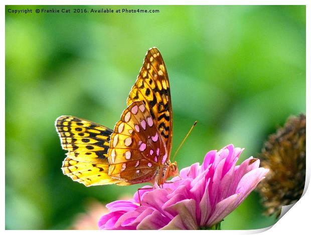 Great Spangled Fritillary Print by Frankie Cat