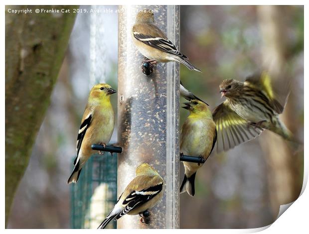 Goldfinches at the Feeder Print by Frankie Cat