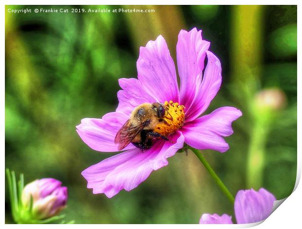 Bumble Bee on Pink Cosmos Print by Frankie Cat