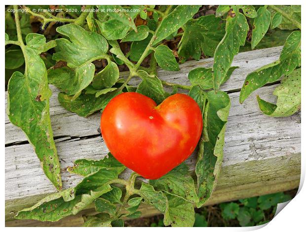Heart Shaped Tomato Print by Frankie Cat