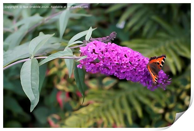 Buddleia in Acrylic Print by Susan Cosier