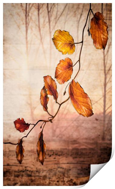 Autumn melody  Print by Dagmar Giers