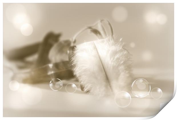 Feather light  Print by Dagmar Giers