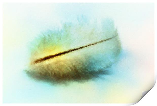 Angel feather  Print by Dagmar Giers
