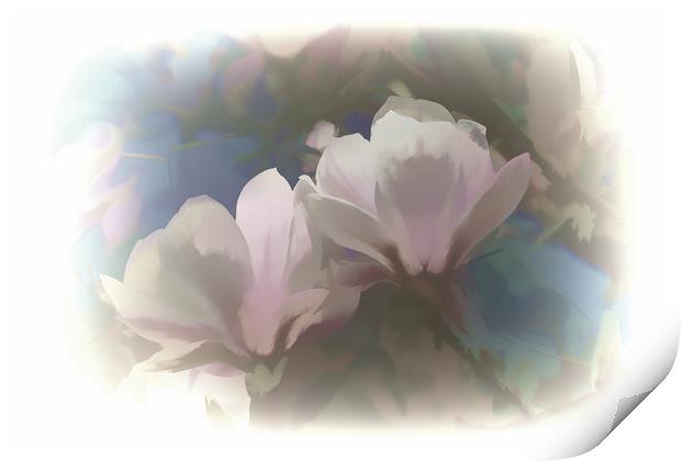 Soft Magnolia Print by Lynn Carter