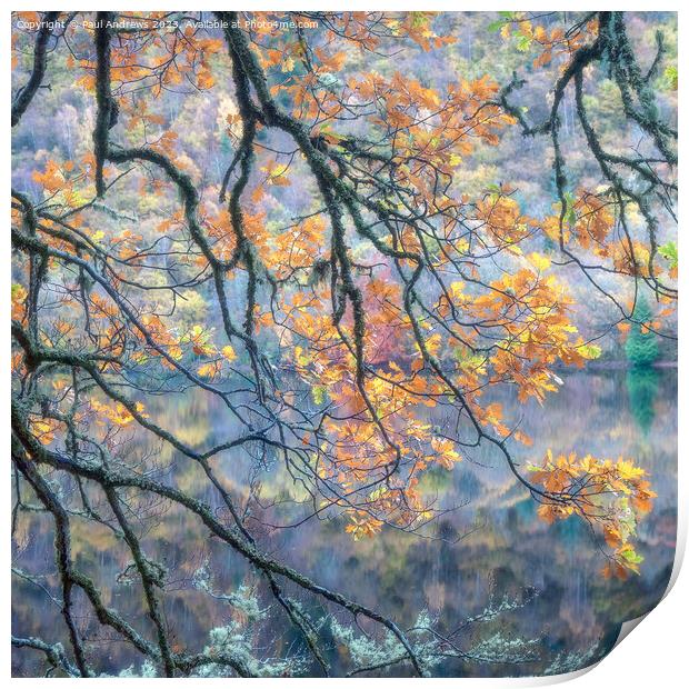 Autumn Gold Print by Paul Andrews