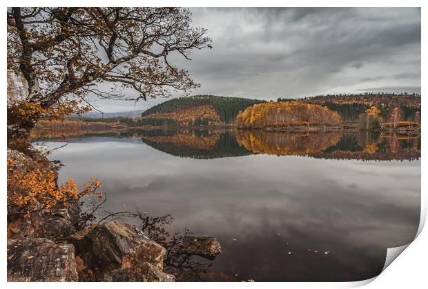 Autumn Gold at Loch Garry Print by Paul Andrews