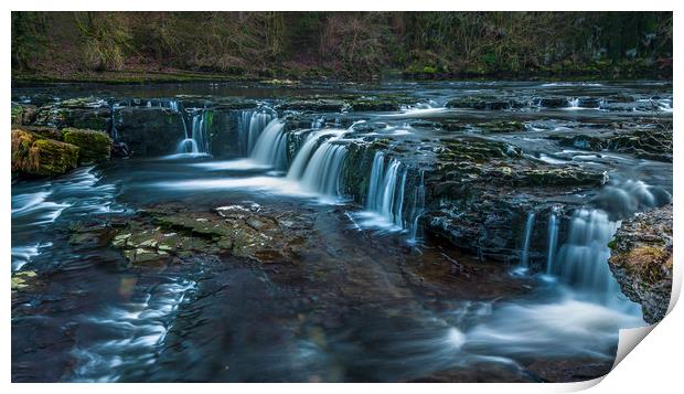 Aysgarth Falls Print by Paul Andrews