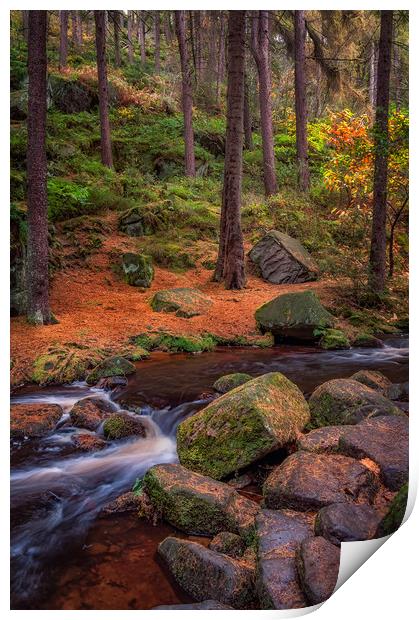 Wyming Brook Print by Paul Andrews