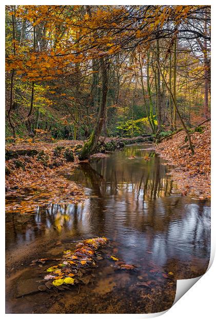Autumn Leaves in Rivelin Print by Paul Andrews