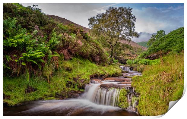 Fair Brook Print by Paul Andrews