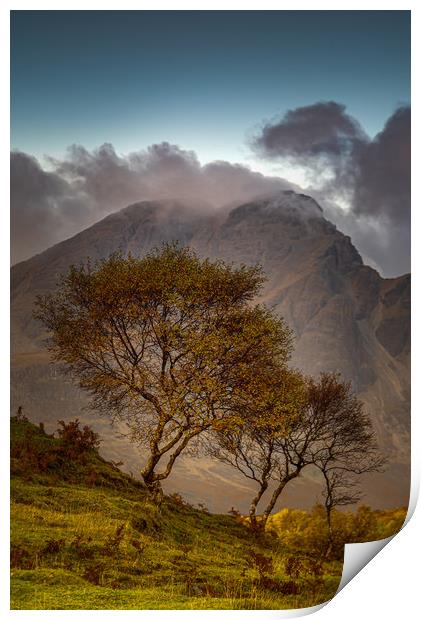 Blaven and Silver Birch Trees Print by Paul Andrews