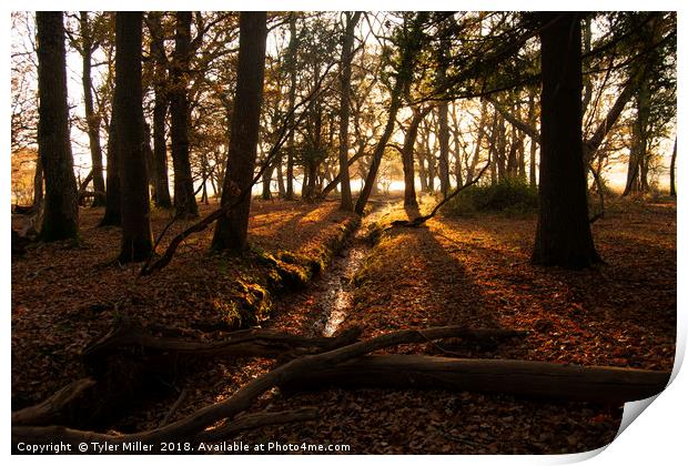 Autumn Bliss Print by Tyler Miller