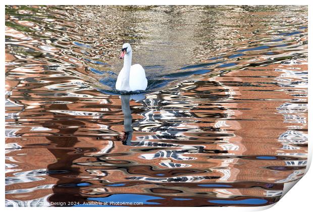 Swan River Reflections Print by Kasia Design