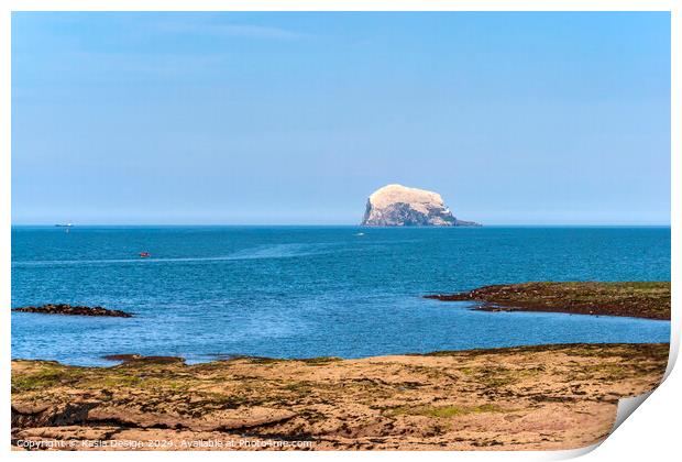 The Bass Rock in all its Magnificence Print by Kasia Design