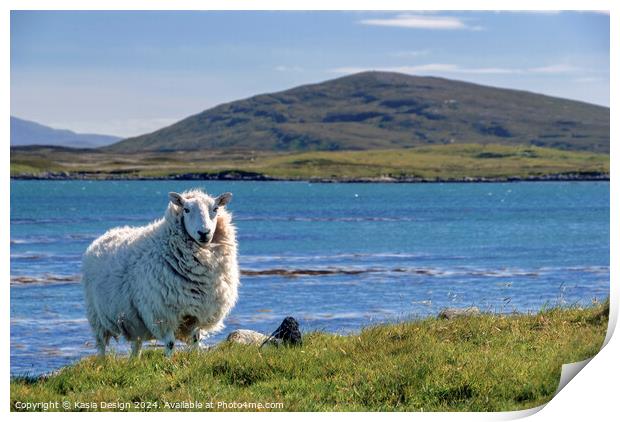 A Proud Sheep in The Outer Hebrides Print by Kasia Design