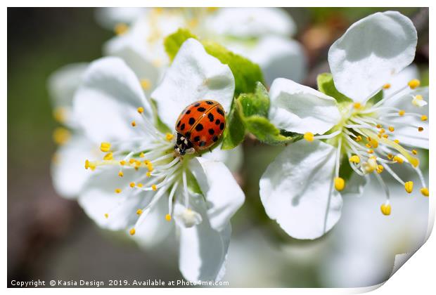 Ladybird Heaven Print by Kasia Design