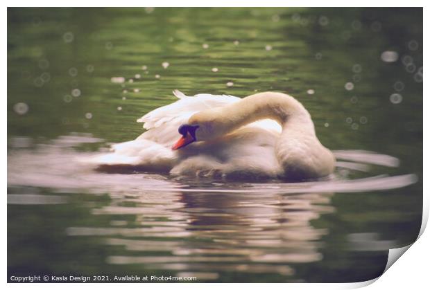 Swan Reflections Print by Kasia Design