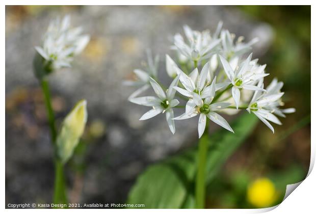 Dainty Wild Garlic Blossom Print by Kasia Design