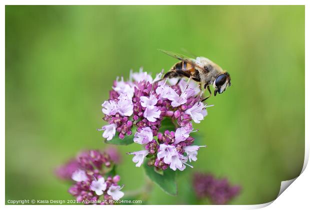 Bee Enjoying the Spring Blossom Print by Kasia Design