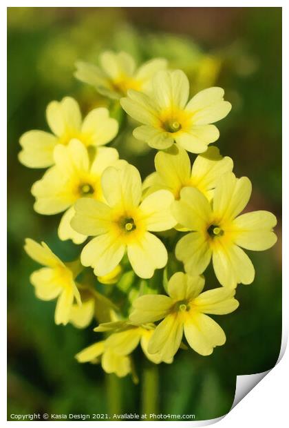 A Touch of Spring - Cowslip Print by Kasia Design