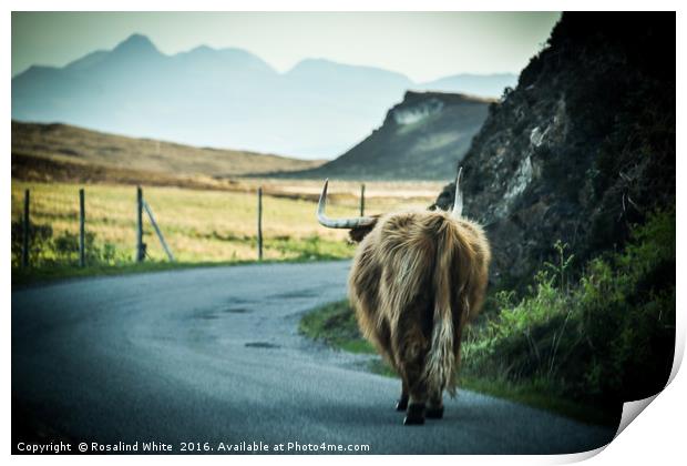 Highlands Traffic Print by Rosalind White