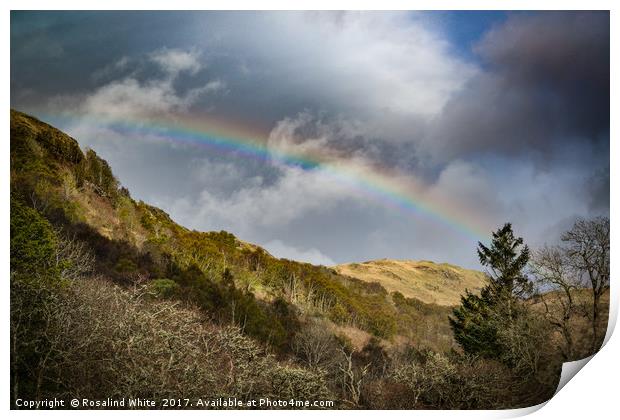 Highlands Rainbow Print by Rosalind White