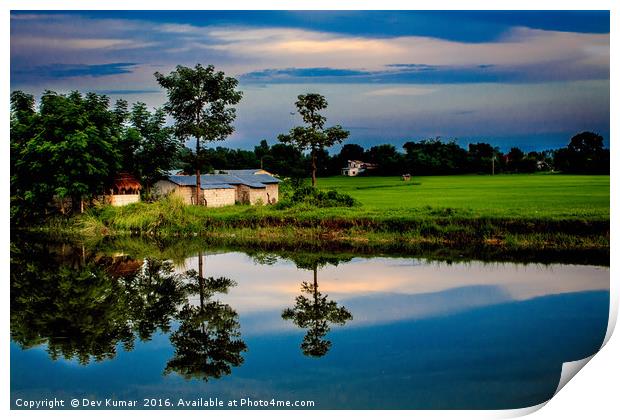 A Fish Pond Print by Dev Kumar