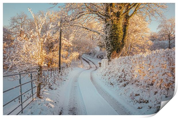 Snowy Lane Print by Clive Ashton
