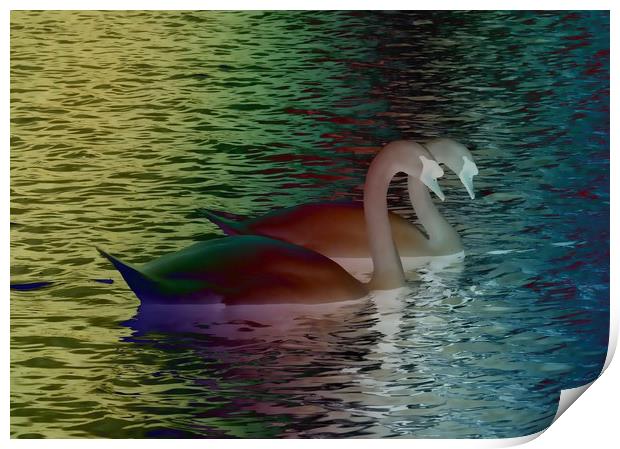 Rainbow Swans Print by Martine Boer - Reid