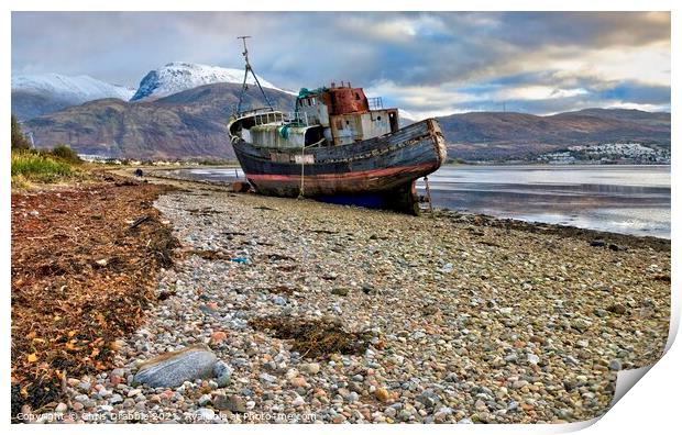 The wreck of the Golden Harvest Print by Chris Drabble