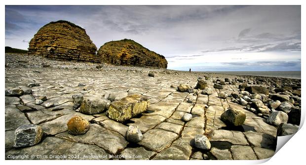 Rhoose Point and Cliffs Print by Chris Drabble