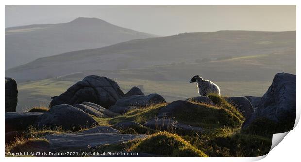 Hide and Seek on Stanage Edge Print by Chris Drabble