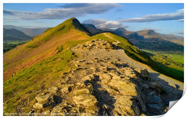 Catbells from Skelgill Bank in spring Print by Chris Drabble