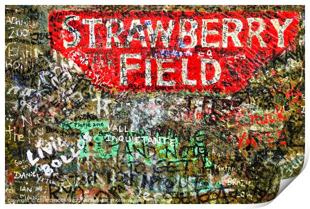 Strawberry Field Print by Chris Drabble