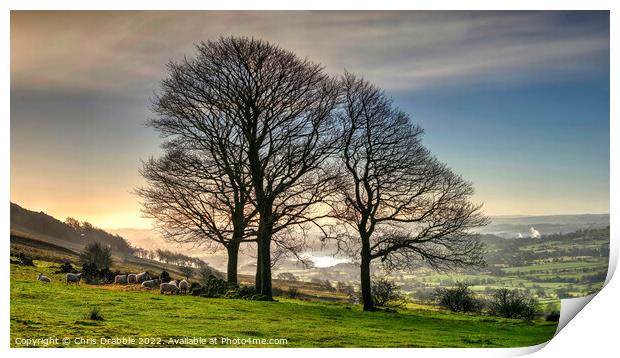 Winter trees at the Roaches  (2) Print by Chris Drabble