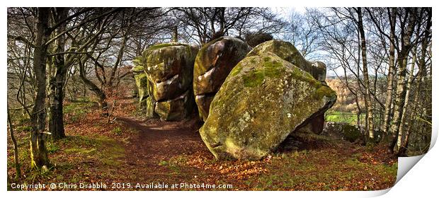 Rowtor Rocks, Birchover, The Peak District.  Print by Chris Drabble