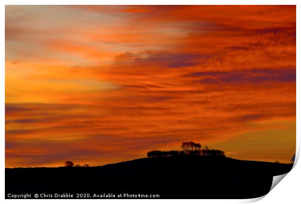 Sunrise and birds at Minninglow  Print by Chris Drabble
