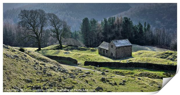 Bell Hagg Barn (17)                                Print by Chris Drabble