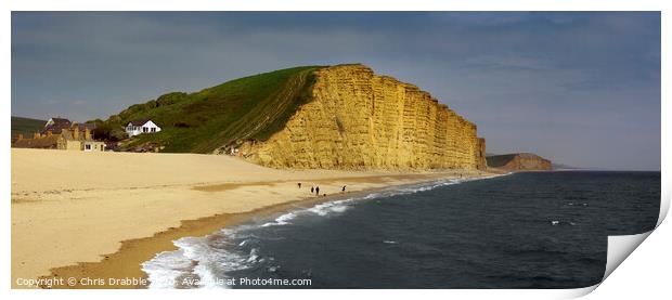 East Cliff and Bridport sands Print by Chris Drabble