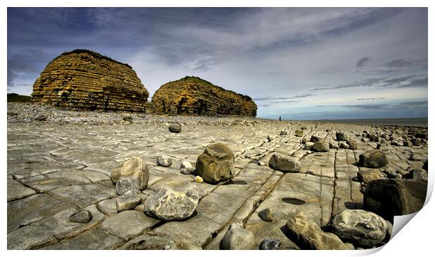 Rhoose Point and Cliffs Print by Chris Drabble