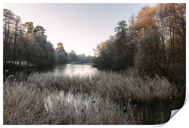 Hoar Frost at Virginia Water Lake Print by Bob Barnes