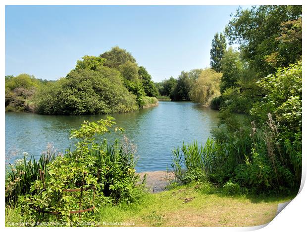 Quiet Lake Scene in West Dorset Print by Susie Peek