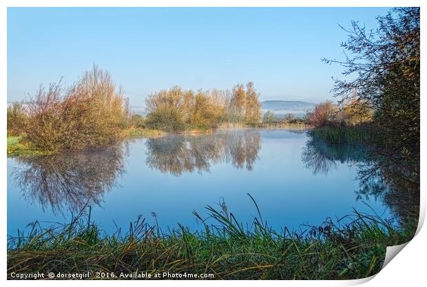 Misty Lake - Lower Bruckland Print by Susie Peek