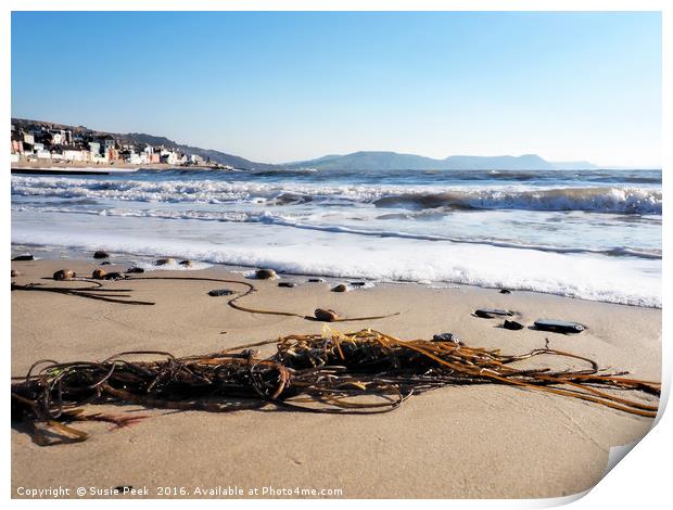 Seaweed On The Shore Print by Susie Peek
