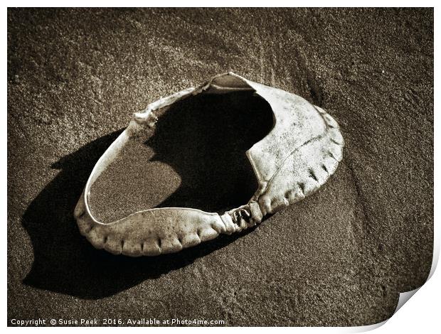 Empty Crab Shell - Toned Print by Susie Peek