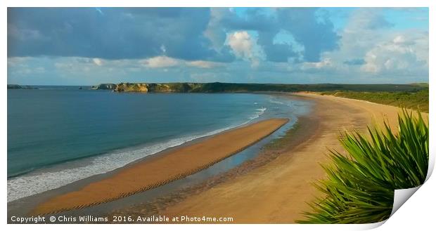 Tenby's Southern Sands Print by Chris Williams