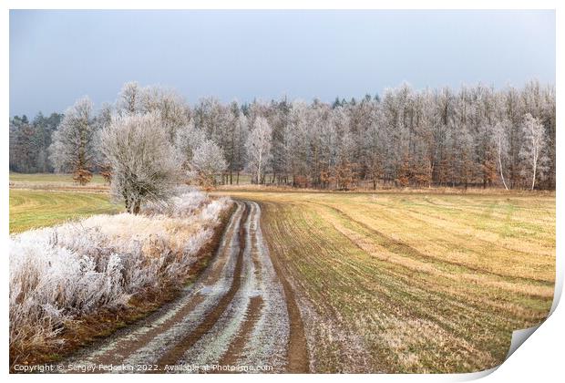 Winter countryside road in Czechia. Print by Sergey Fedoskin