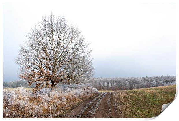 Winter landscape in Czech countryside. Print by Sergey Fedoskin