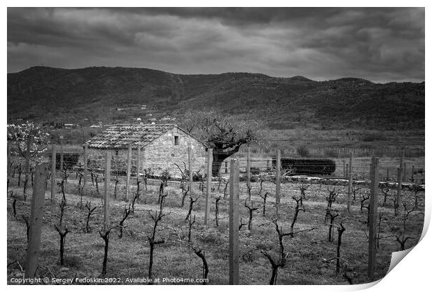 Old stone farm barn in spring vineyard. Europe. Print by Sergey Fedoskin